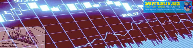 [Иван Родин] Курс по скальпингу_0.png